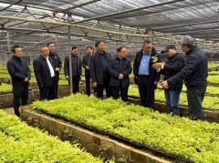 林上增绿林金 激活丛林“四库”——专访中国林